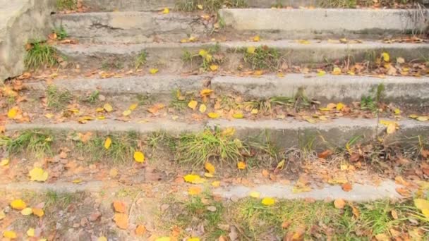 Escaleras en el parque de otoño — Vídeo de stock