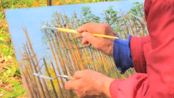 L'homme dessine paysage d'automne — Video