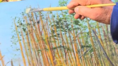 adam boyama orman manzarası