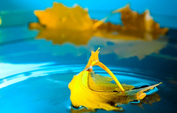 Yellow leaf on blue water — Stock Photo, Image