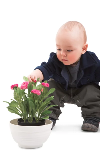 Jongen met kamerplant — Stockfoto