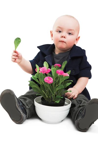 Мальчик с домашним растением — стоковое фото