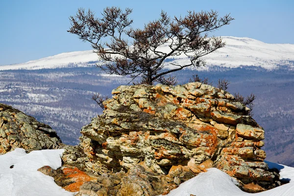 Paisagem inverno — Fotografia de Stock