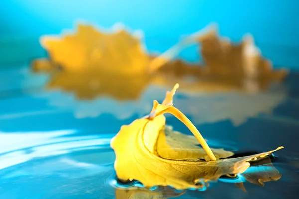 Yellow leaf on blue water — Stock Photo, Image