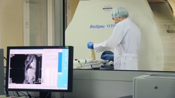 Біологічнй лабораторія — стокове відео