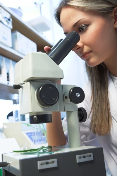 Researcher with microscope — Stock Photo, Image