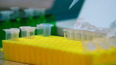 Biyoloji Laboratuvarı