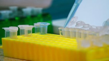 Biyoloji Laboratuvarı