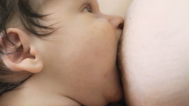 かわいい赤ちゃんの授乳. — ストック動画