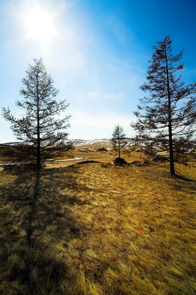 Paisagem inverno — Fotografia de Stock