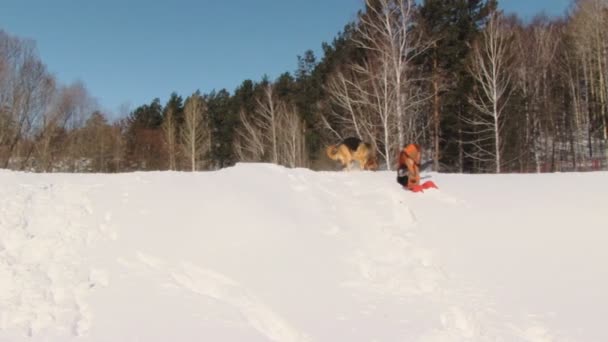 Belleza mujer con perro en invierno país — Vídeo de stock