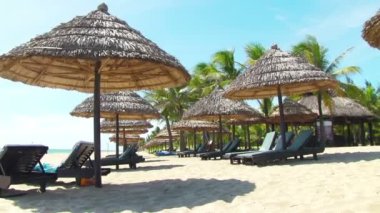 tropik sahil saman şemsiye ve sandalyeler