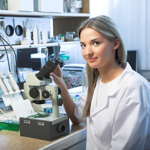 Researcher with microscope — Stock Photo, Image