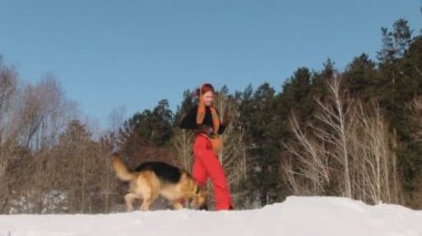 güzellik kadın ile köpek kış ülke