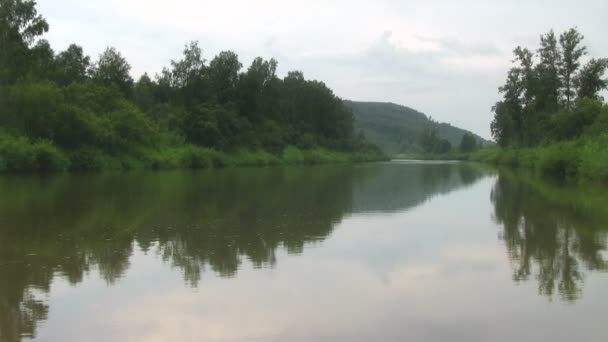 Paisaje tranquilo con río tranquilo en un bosque verde — Vídeos de Stock