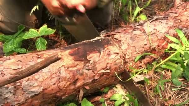 Coupe du bois avec une scie à main 