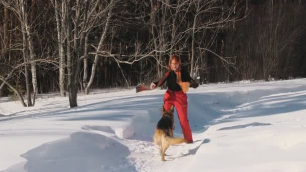 Женщина с собакой в зимнем лесу — стоковое видео