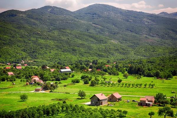 Campo en Montenegro — Foto de Stock