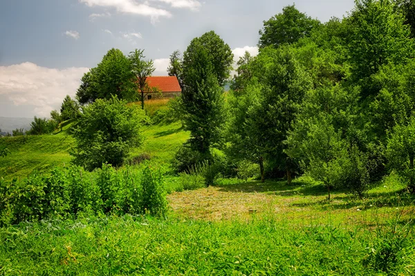 Pohled na countriside v Černé hoře — Stock fotografie