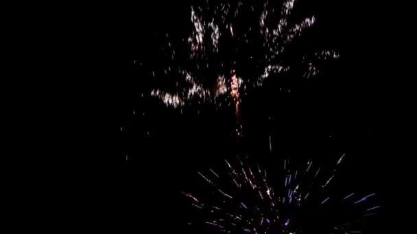 Яркий фейерверк в черном ночном небе — стоковое видео