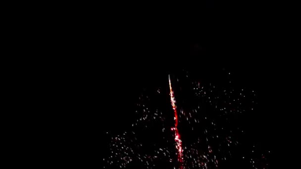 Fuochi d'artificio luminosi nel cielo notturno nero — Video Stock