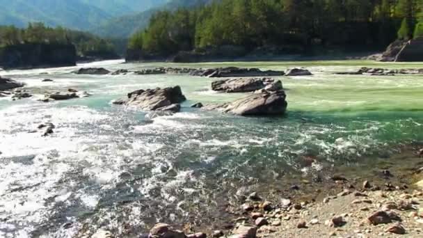 Paisaje con río de montaña — Vídeos de Stock