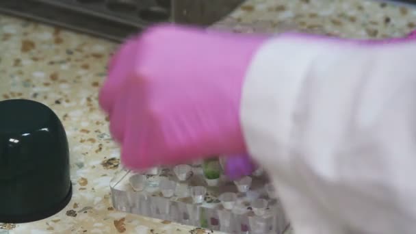 Molekylär biologi. kvinna som arbetar i laboratoriet — Stockvideo