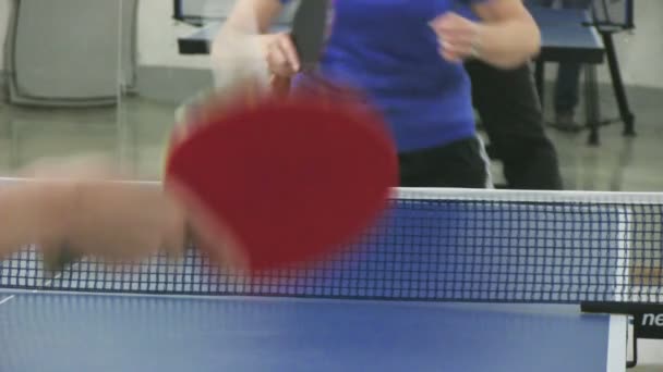 Playing ping pong — Stock Video