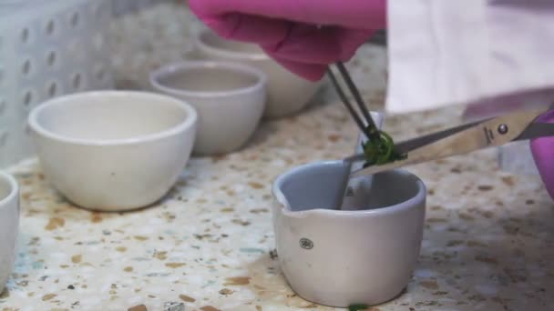 Biología Molecular. Mujer trabajando en laboratorio — Vídeo de stock