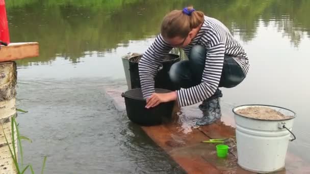 Ung kvinna tvätt pan — Stockvideo