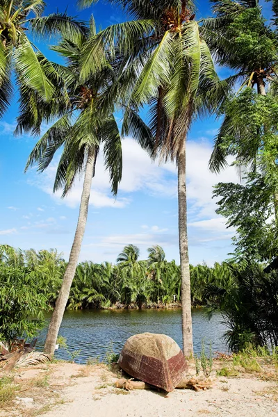 Vieux bateau de pêcheur sur la plage de palmiers tropicaux — Photo