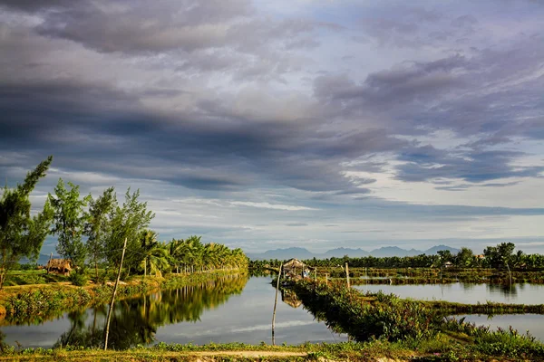 Kanalen bevattningssystem i risfält — Stockfoto