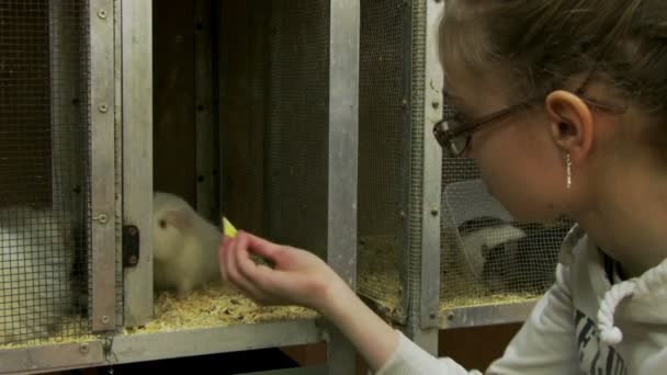 Meisje voederen ratten in de cel — Stockvideo