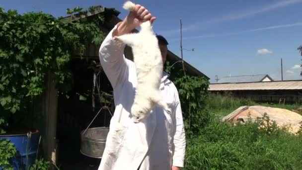 Viejo sosteniendo armiño blanco — Vídeo de stock