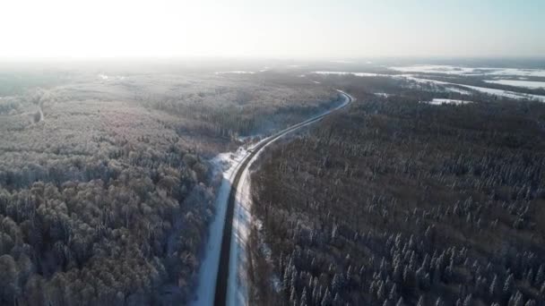 Landstraße Durch Winterlichen Wald Mit Raureif Bedeckt — Stockvideo
