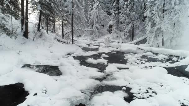 Rio Montanha Rápido Coberto Com Gelo Neve Close Rússia Sibéria — Vídeo de Stock