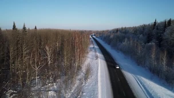 Landstraße Durch Winterlichen Wald Mit Raureif Bedeckt — Stockvideo