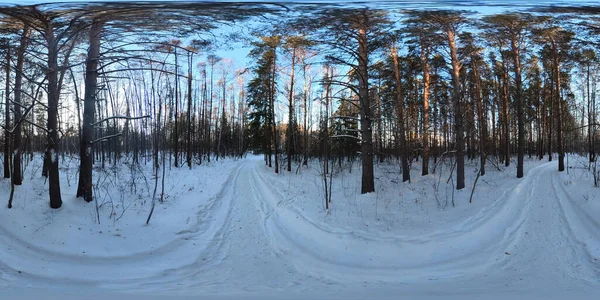 シベリアの冬の森のための360パノ — ストック写真
