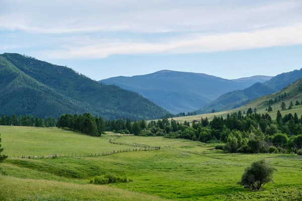 Hoge Groene Bergen Zonnige Dag Met Bos Velden Blauwe Lucht — Stockfoto