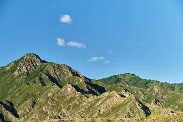 美丽的夏季风景与高山 俄罗斯西西伯利亚阿尔泰 — 图库照片