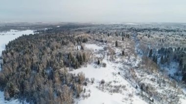 Havadan çekilen kış ormanı karla kaplıydı. Rusya, Sibirya, Altai. 4K video