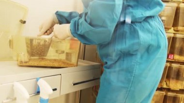 NOVOSIBIRSK RUSSIA, - 20 Mayıs 2021: Biyolojik merkez, modern bilim laboratuvarı. 