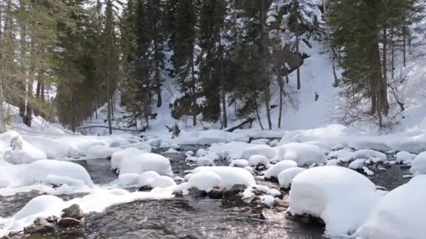 Rio Montanha Rápido Coberto Com Gelo Neve Close Rússia Sibéria — Vídeo de Stock