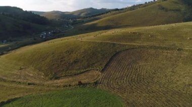 Altai kırsal alanının güzel görüntüleri