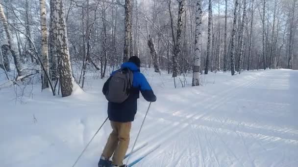 Άνθρωπος Σκι Στο Χιονισμένο Δάσος Την Ημέρα Του Χειμώνα — Αρχείο Βίντεο