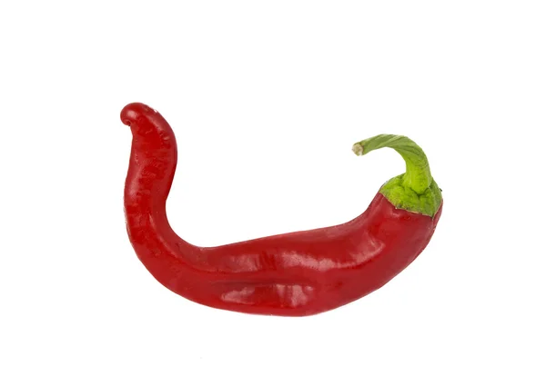 Na białym tle papryka chili — Zdjęcie stockowe