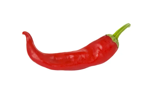 Chili paprika, elszigetelt — Stock Fotó