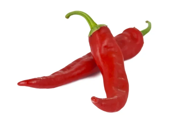 Peperoncino isolato — Foto Stock