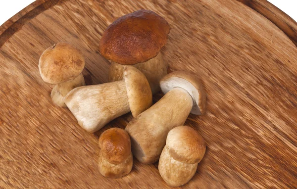 Mushrooms — Stock Photo, Image