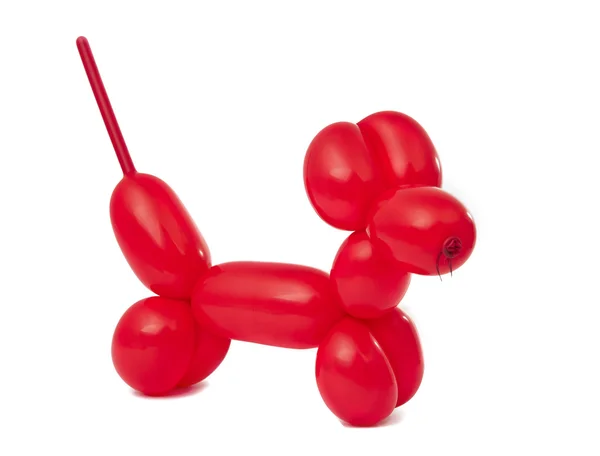 Vermelho torcido cão balão — Fotografia de Stock